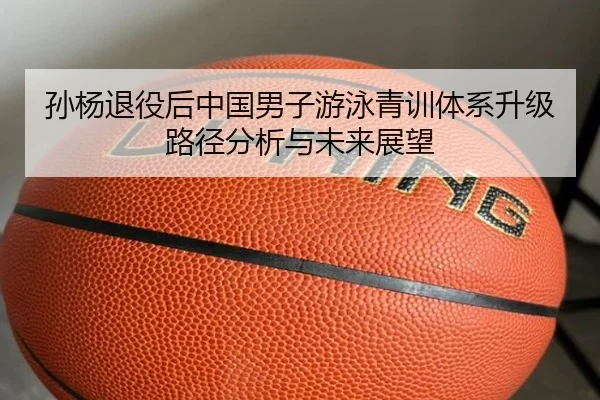 孙杨退役后中国男子游泳青训体系升级路径分析与未来展望