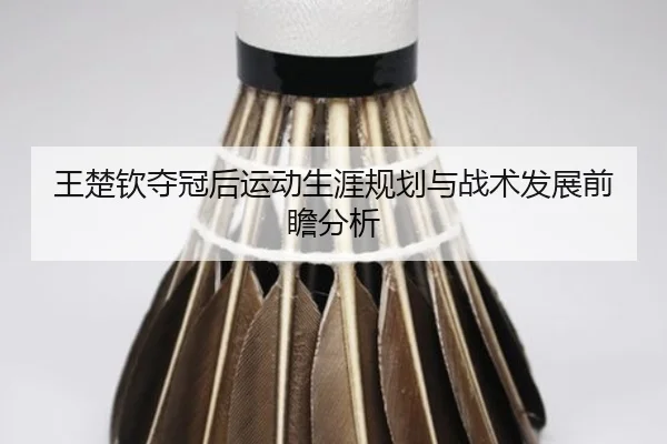 王楚钦夺冠后运动生涯规划与战术发展前瞻分析