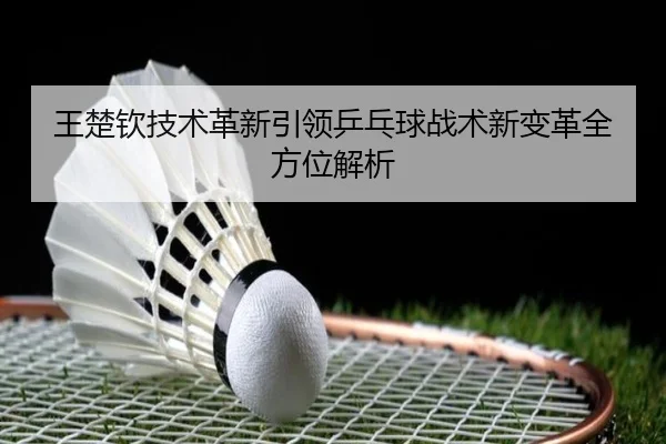 wang-chu-qin-ji-shu-ge-xin-yin-ling-ping-pang-qiu-zhan-shu-xin-bian-ge-quan-fang-wei-jie-xi-2-375.jpg